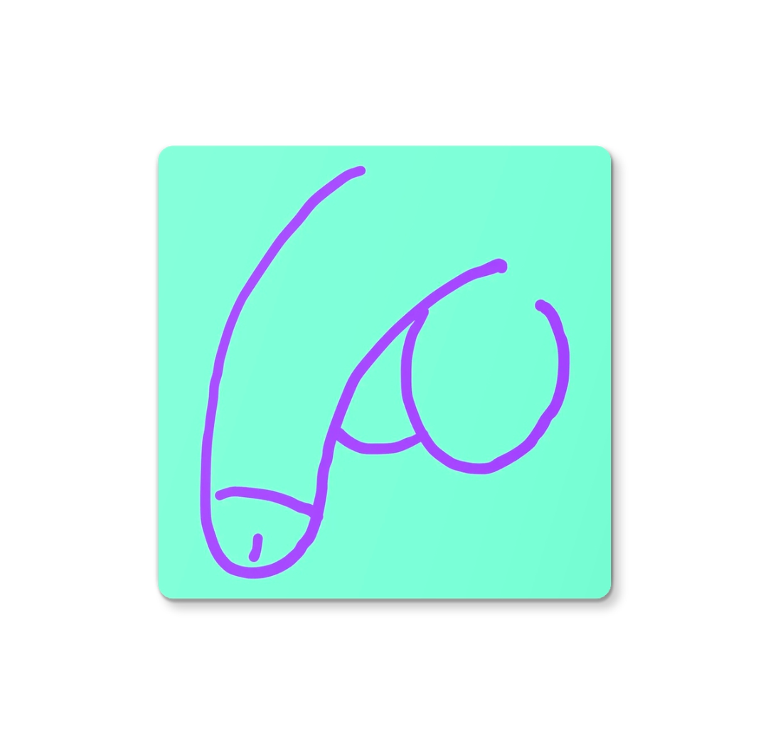 'D!ck Pic' coaster