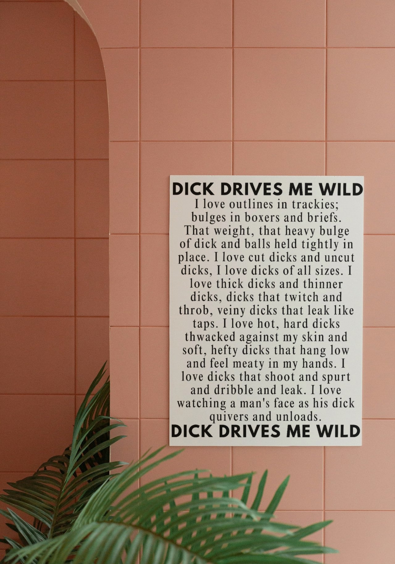 'D!ck drives me wild' print