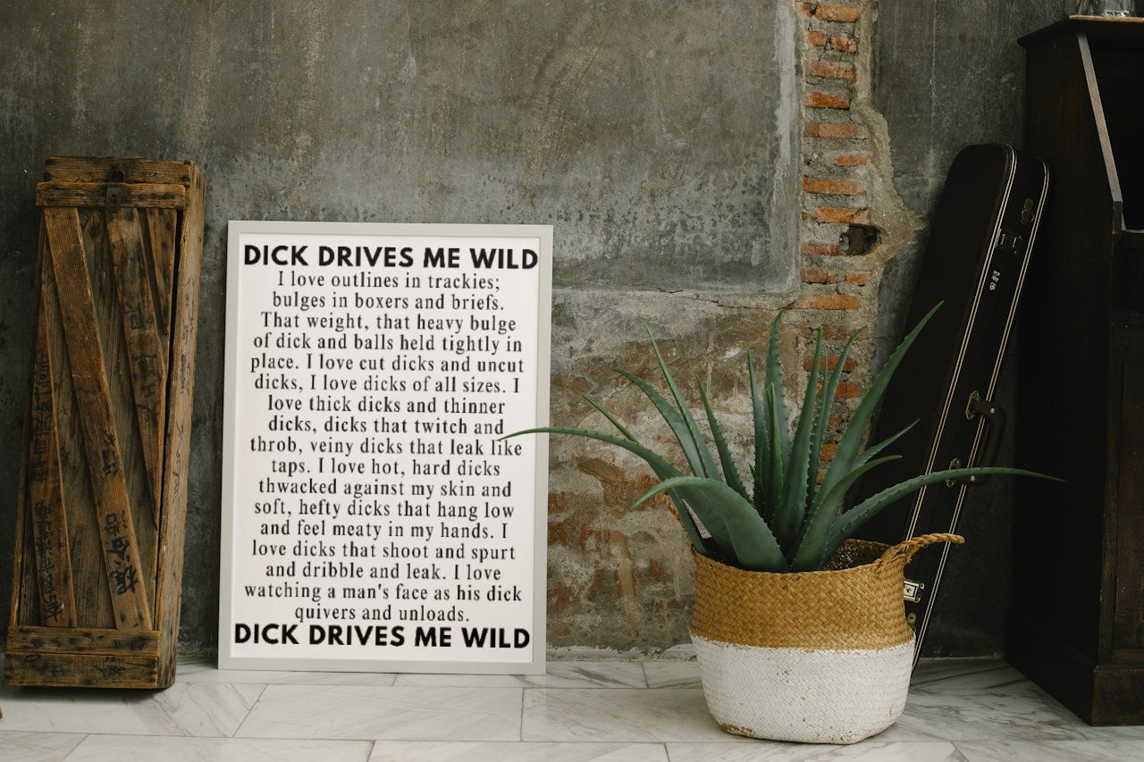 'D!ck drives me wild' print