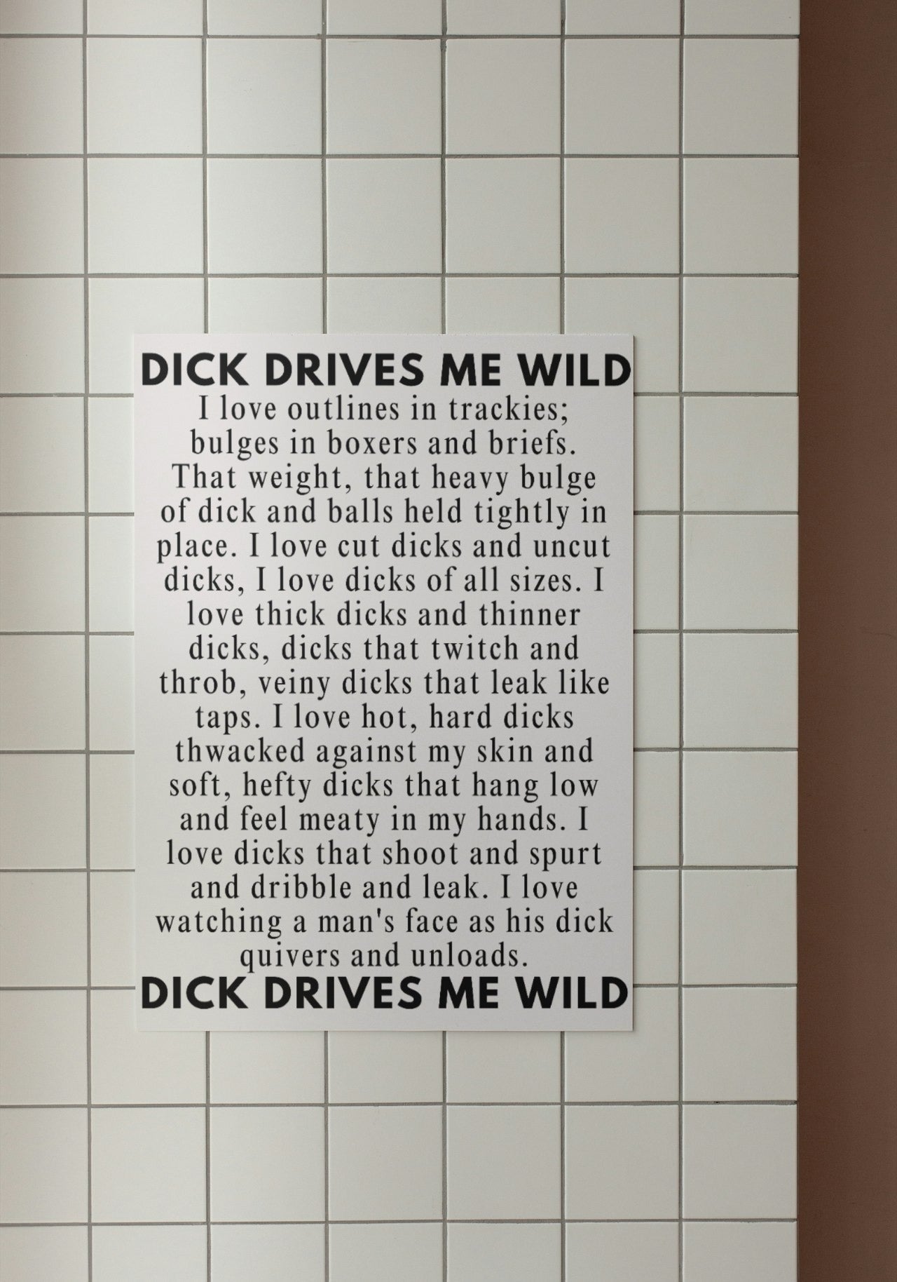 'D!ck drives me wild' print