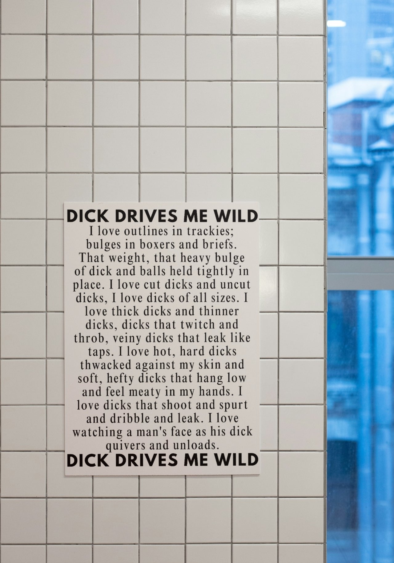 'D!ck drives me wild' print